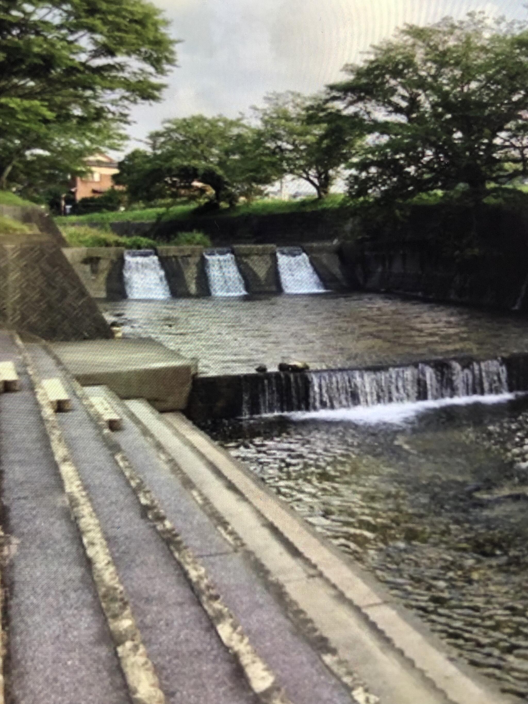 仲島水辺公園の代表写真2