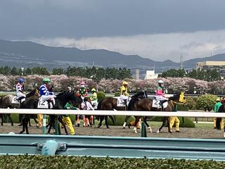 JRA 阪神競馬場のクチコミ写真1