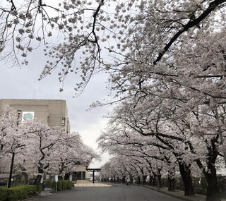 あげお富士住建ホールのクチコミ写真1