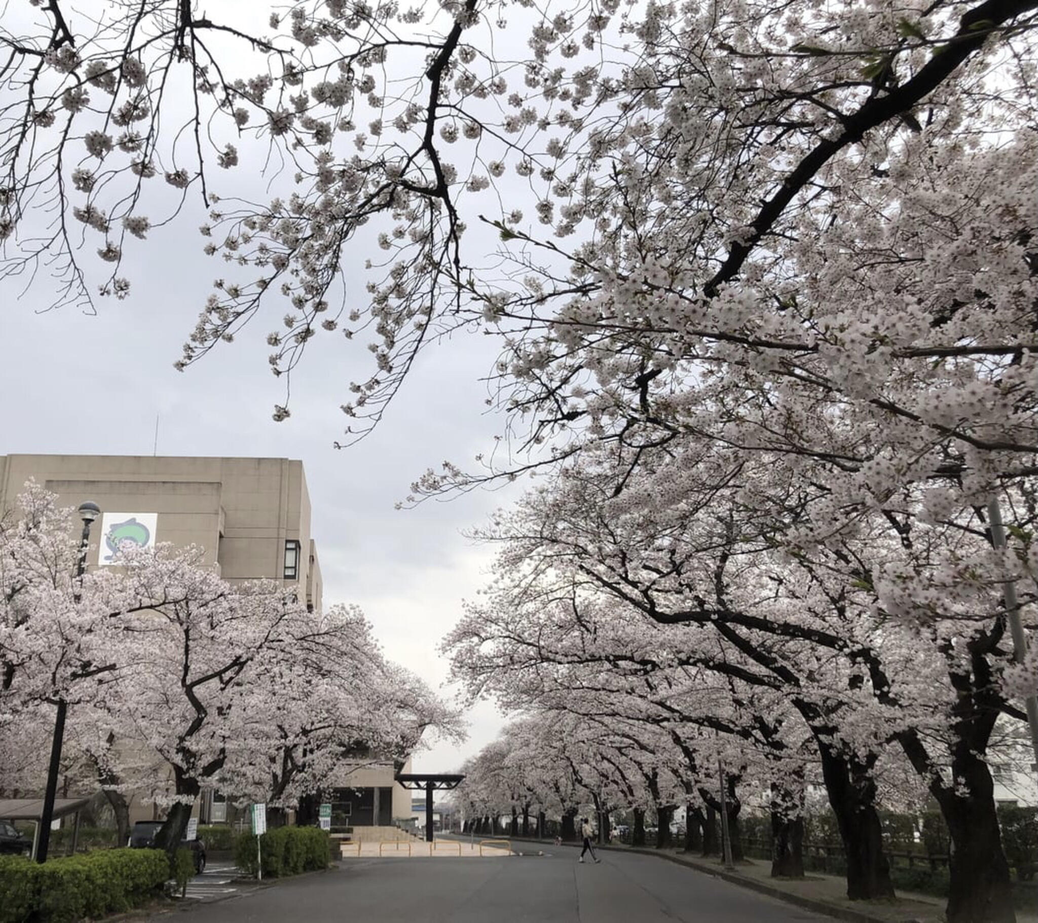 あげお富士住建ホールの代表写真3