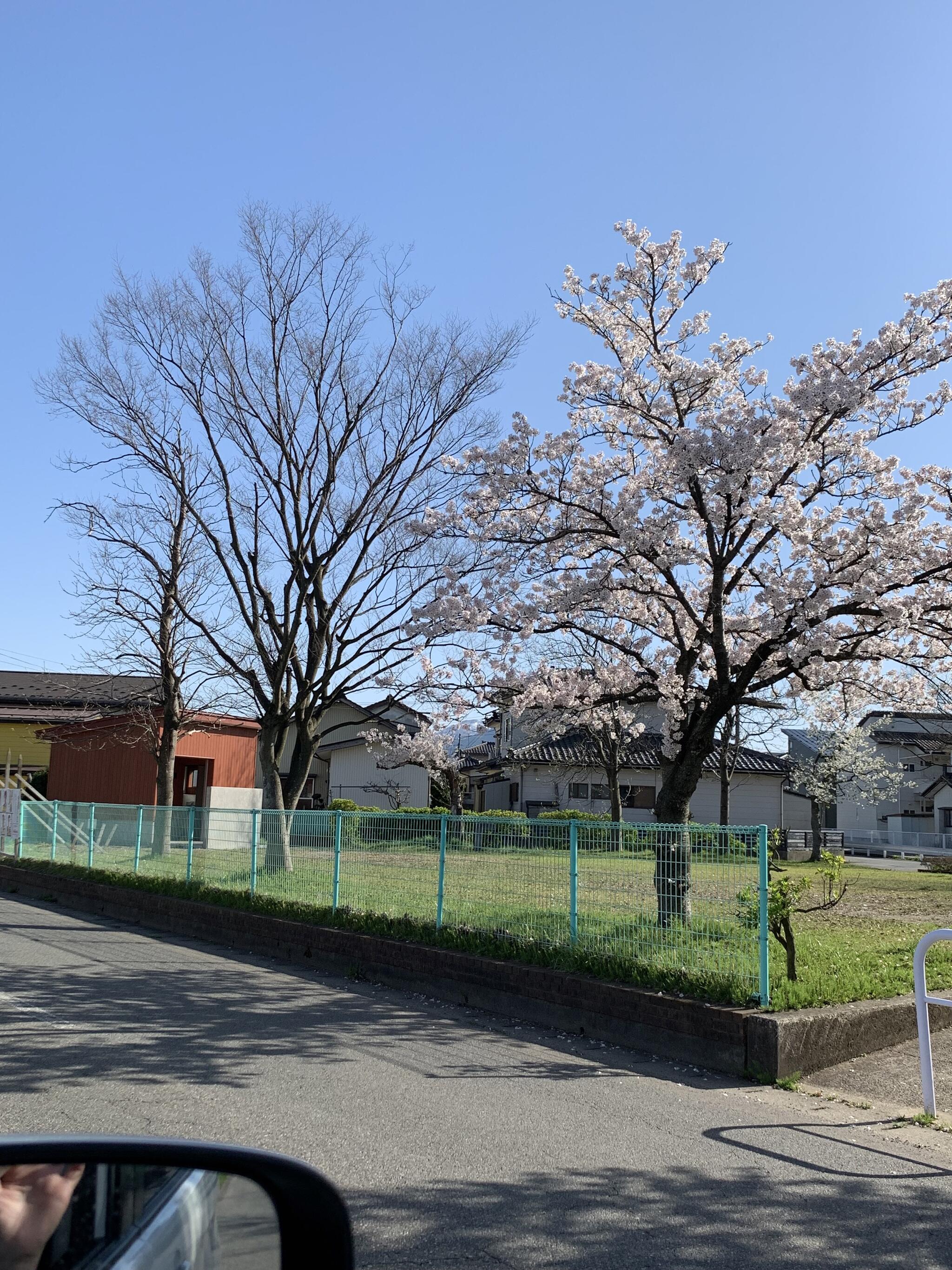 西新斎町公園の代表写真1