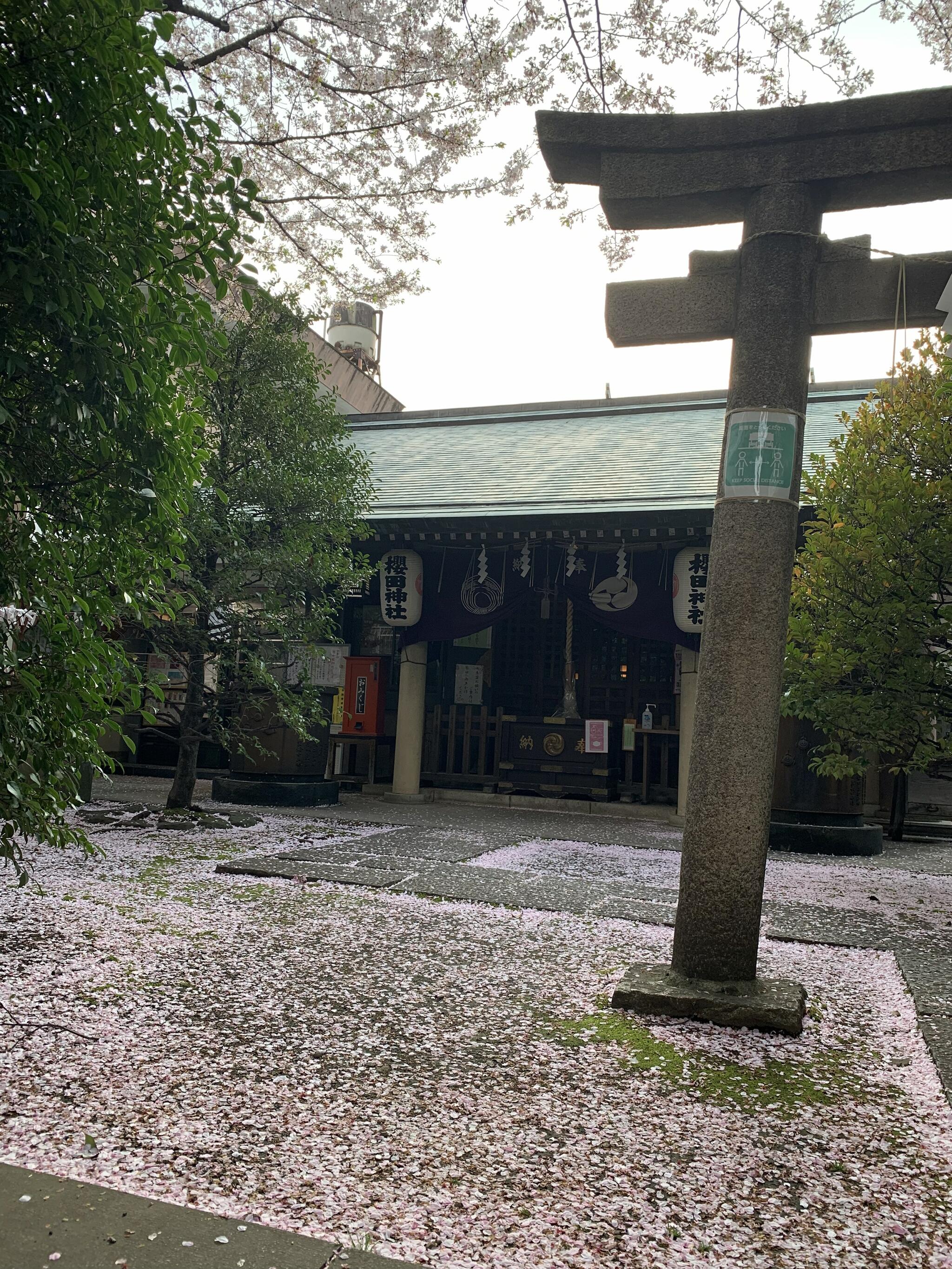 櫻田神社の代表写真7