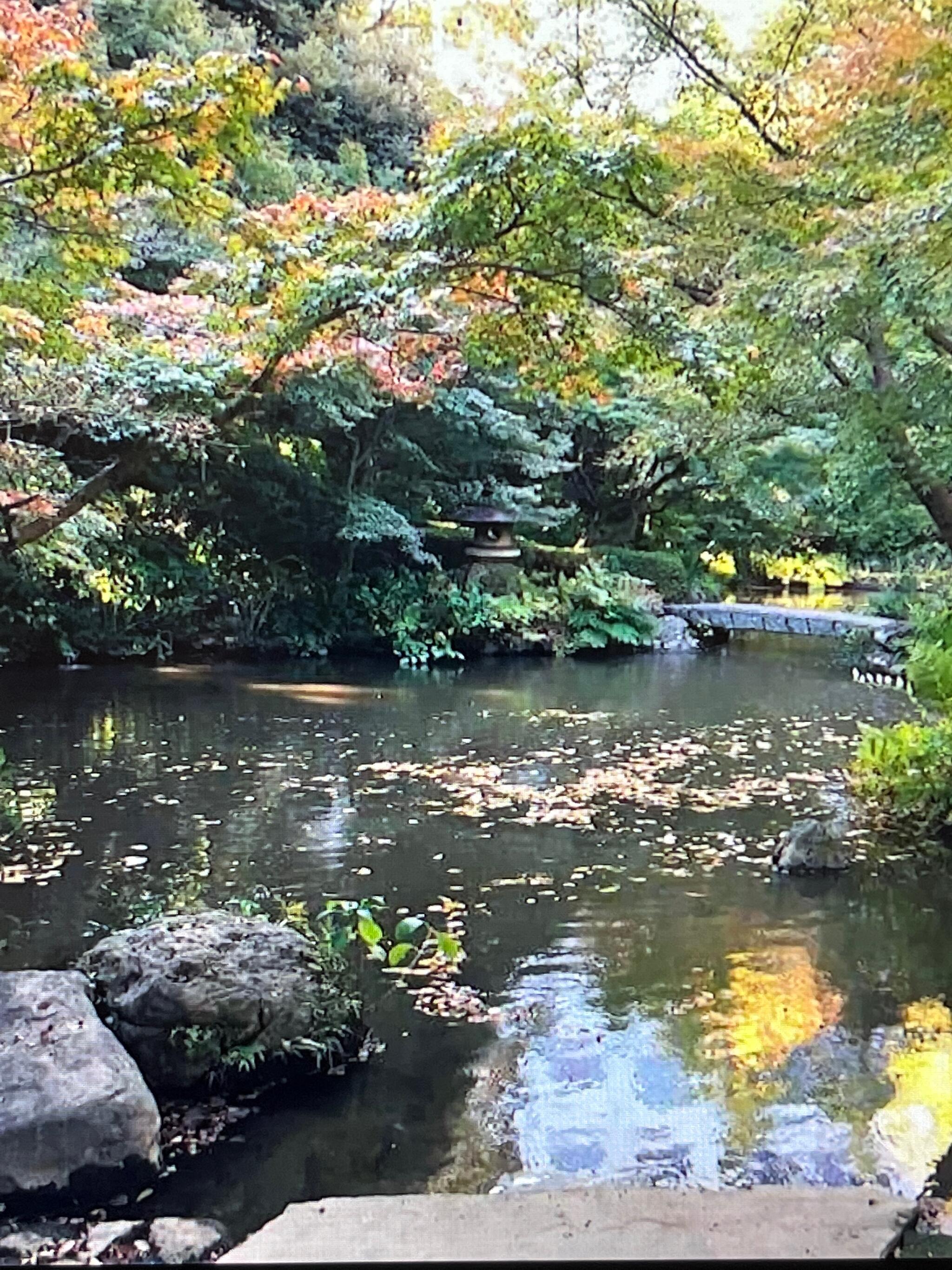 池田山公園の代表写真5