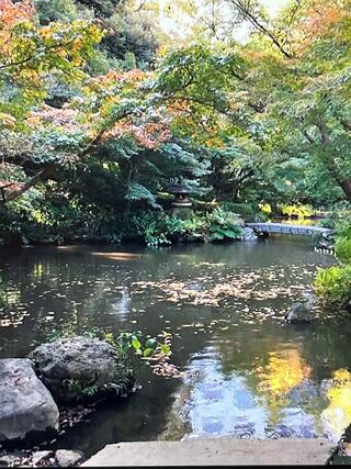 池田山公園のクチコミ写真1