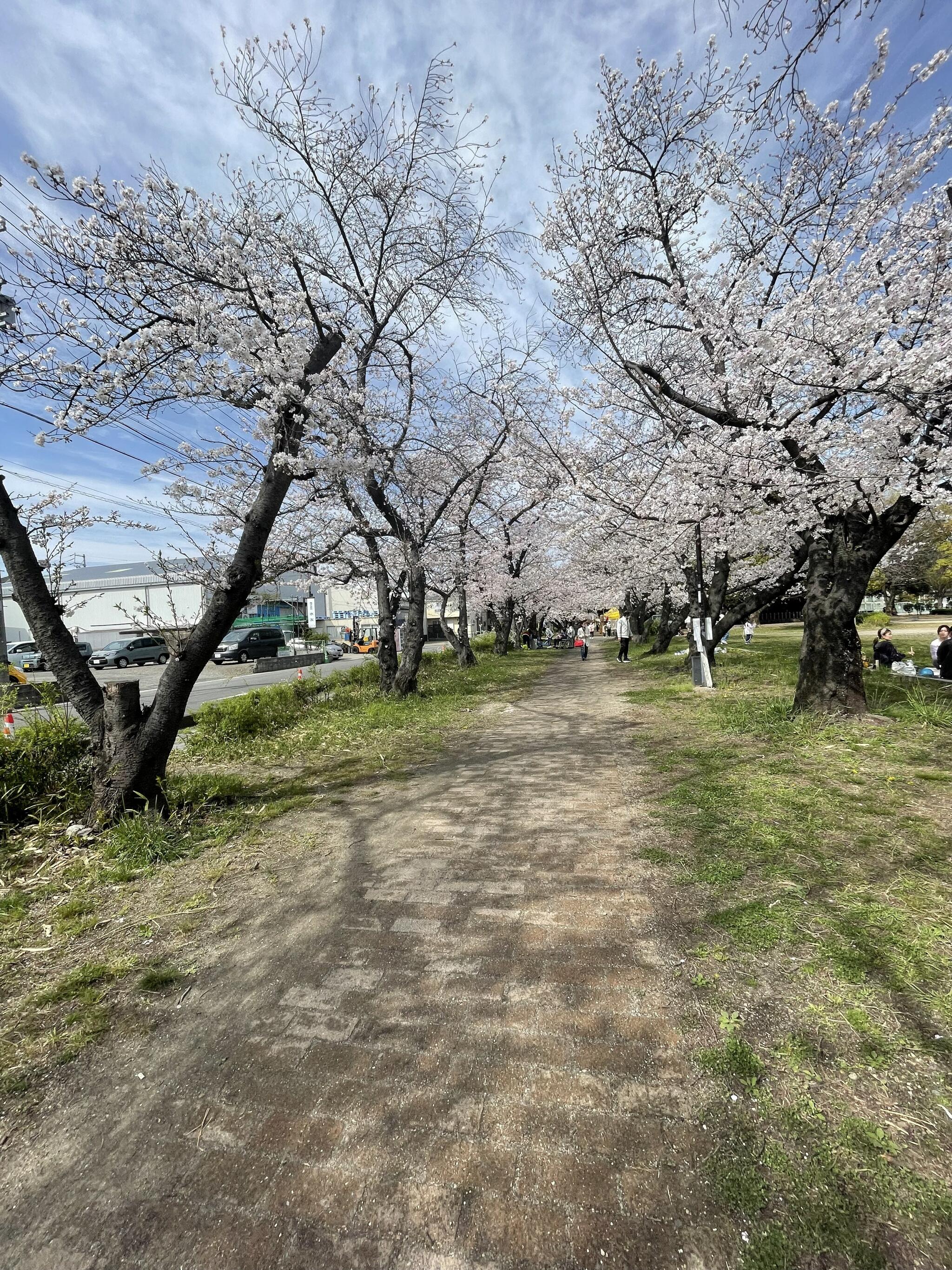 二子山公園の代表写真2