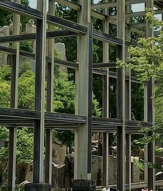 京都府立関西文化学術研究都市記念公園(けいはんな記念公園)のクチコミ写真1