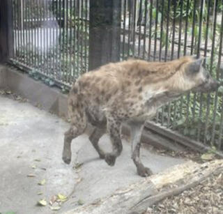 大宮公園小動物園のクチコミ写真1