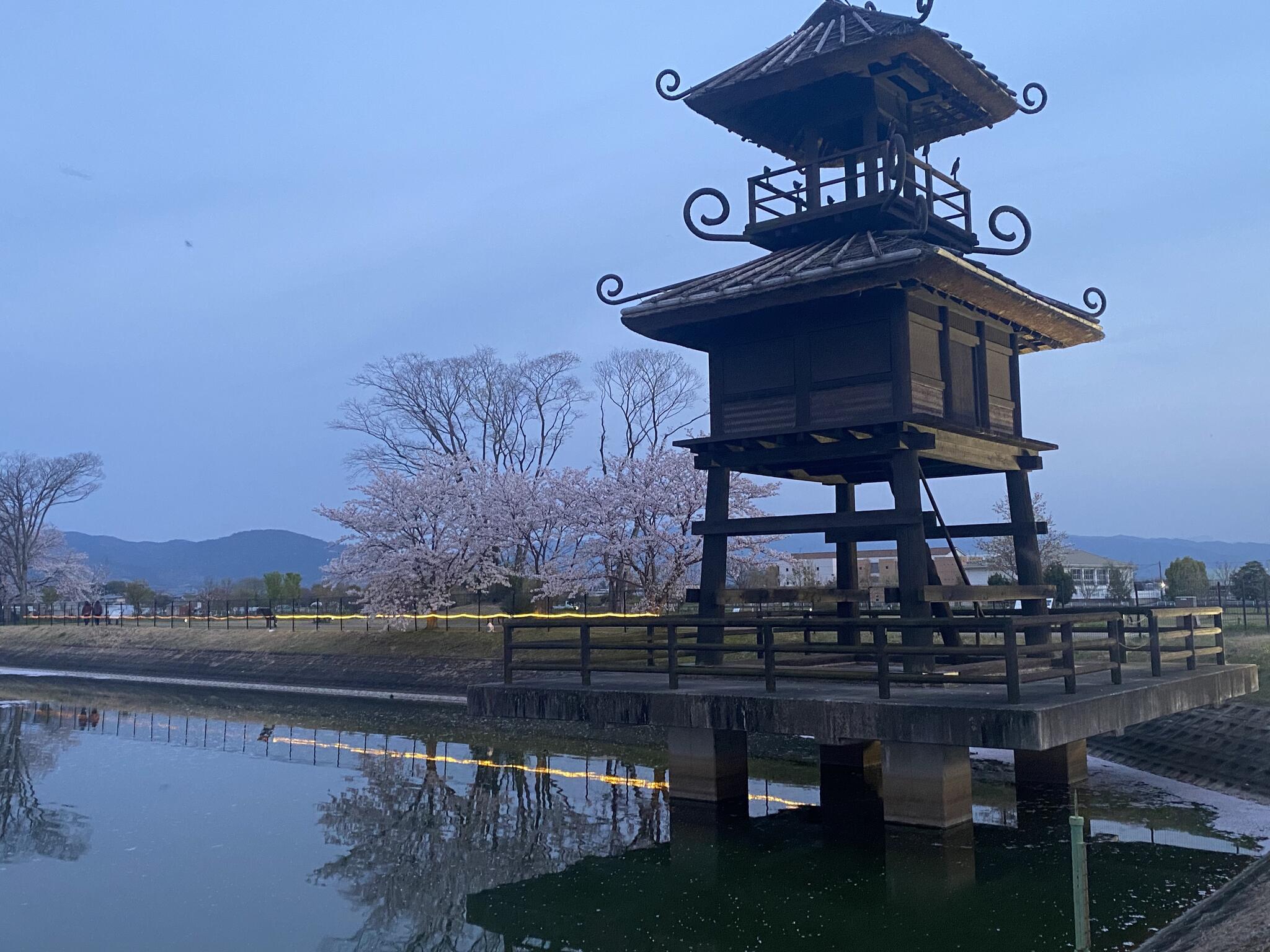 唐古・鍵遺跡史跡公園の代表写真9