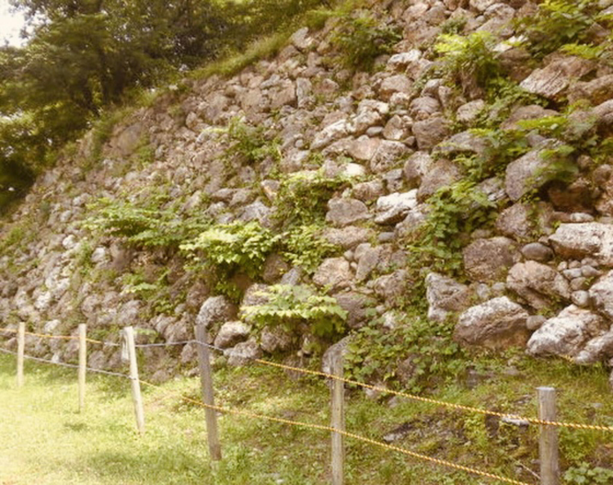 加納城跡の代表写真5