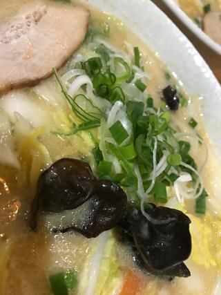 麺や 白 本店のクチコミ写真1