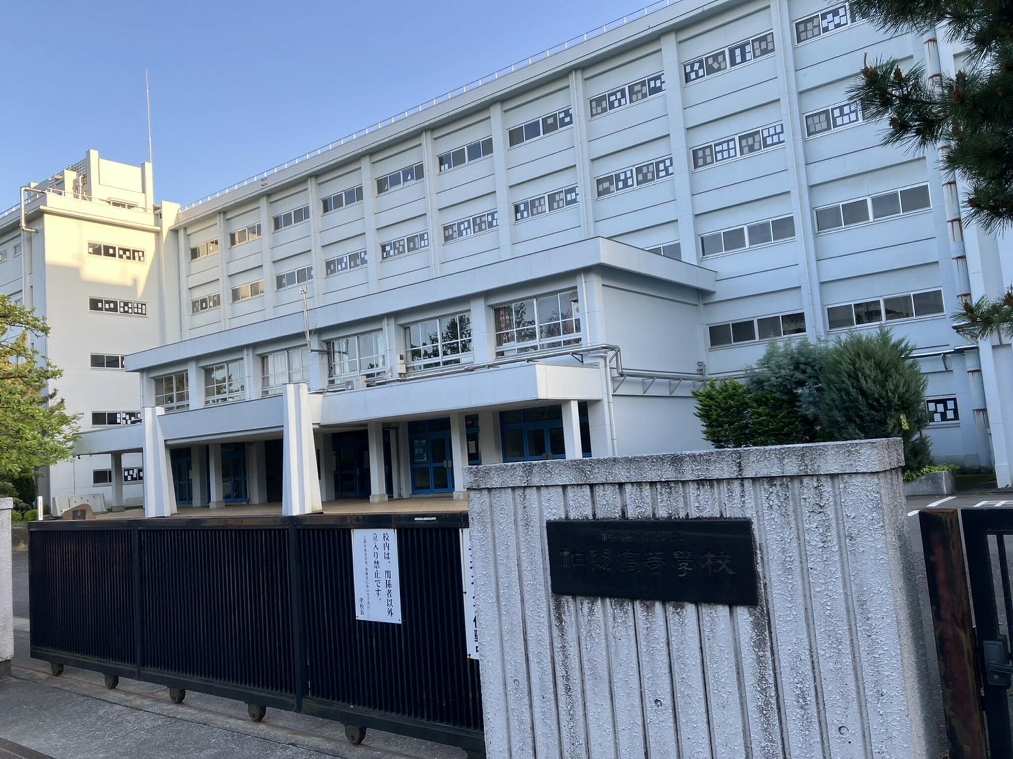 神奈川県立柏陽高等学校の代表写真6