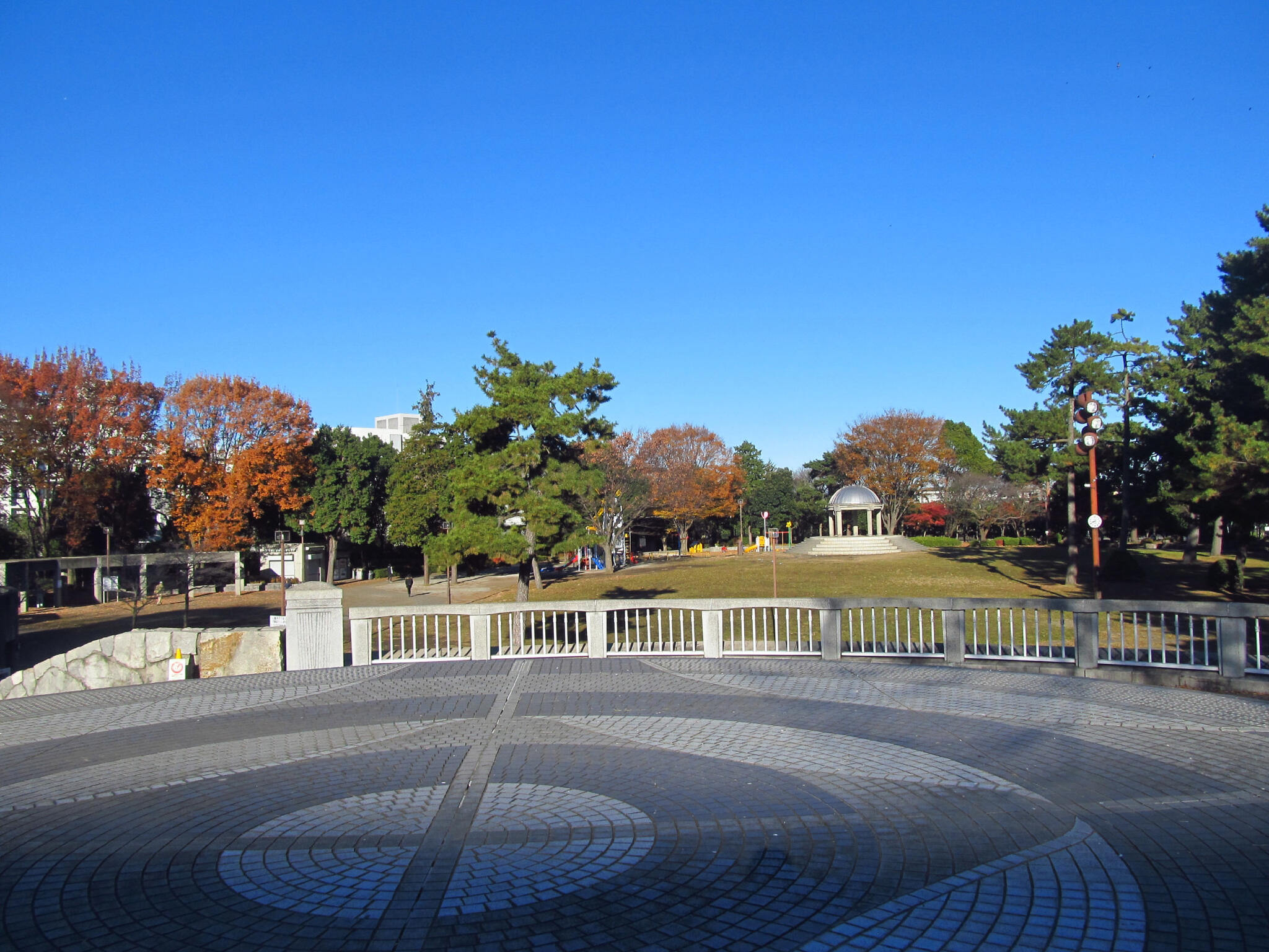 相模大野中央公園の代表写真10