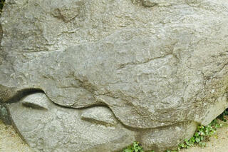 亀石のクチコミ写真1