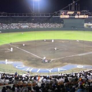 埼玉県営大宮公園野球場の写真19