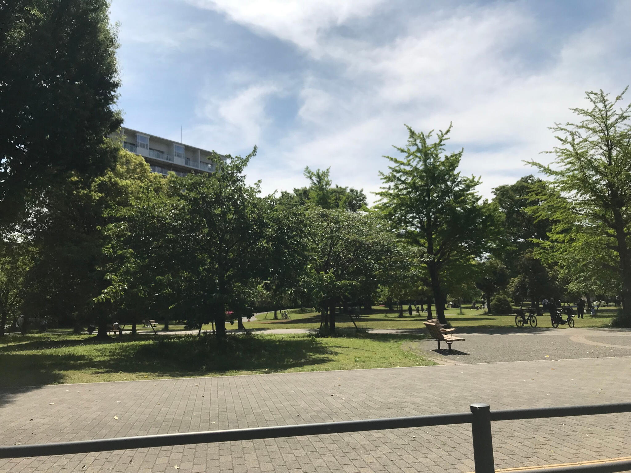福岡中央公園の代表写真5