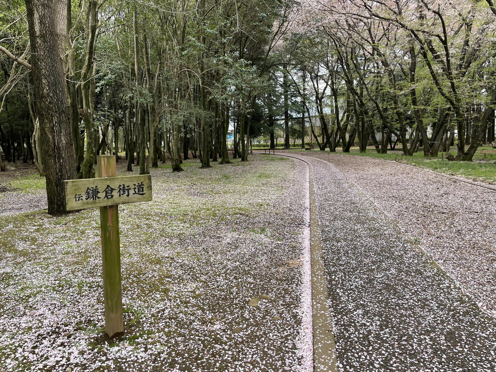 みずほエコパークの代表写真3