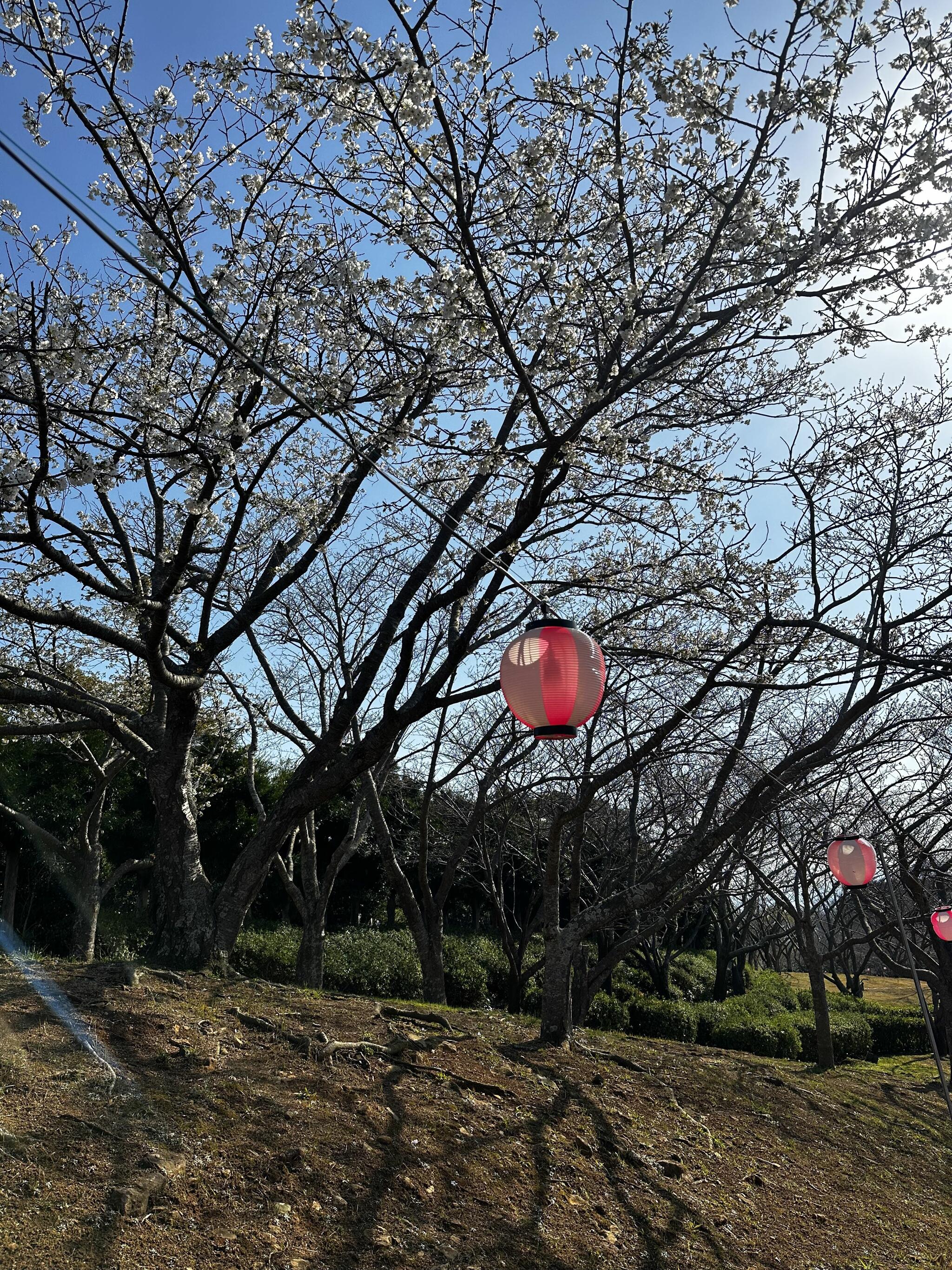 長崎県立 田平公園の代表写真3