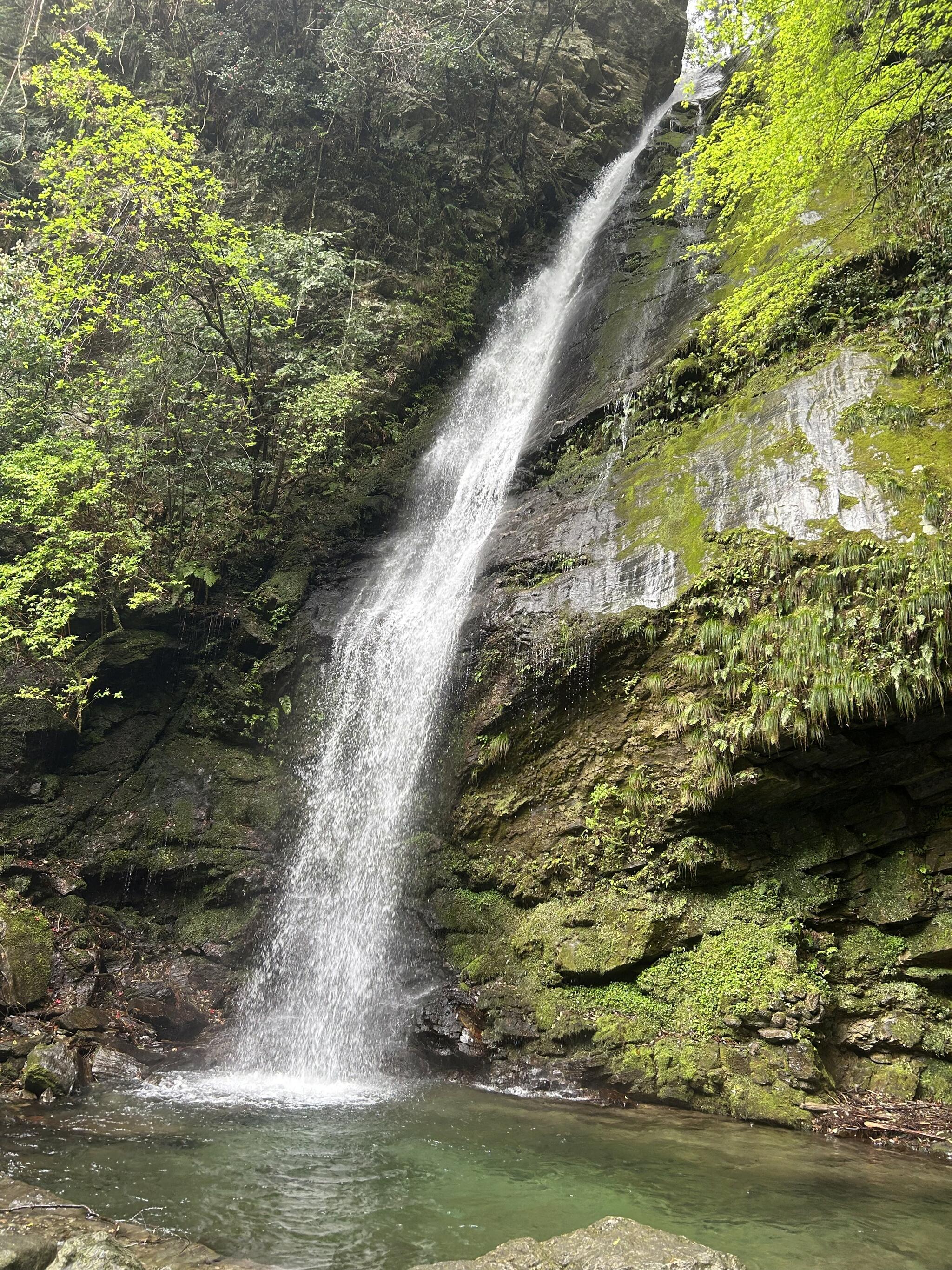 琵琶の滝の代表写真3