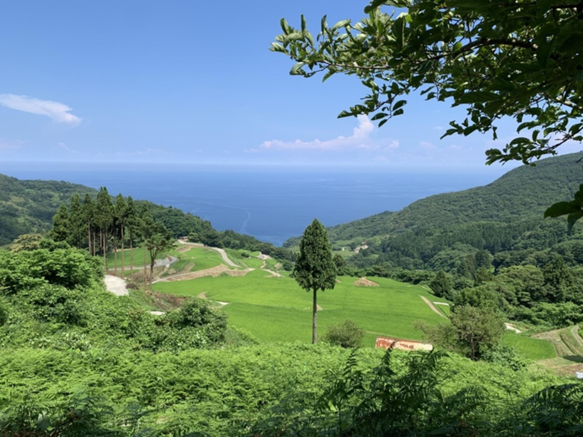 岩首昇竜棚田の代表写真3