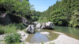 滝沢キャンプ場 ペット クリアランス 浜松