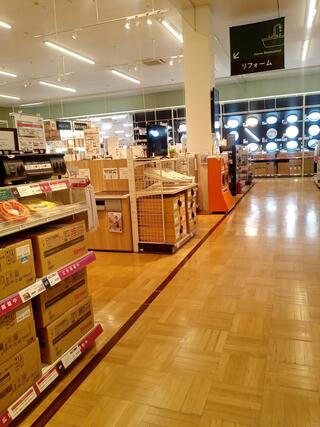 カインズ 横須賀久里浜店のクチコミ写真3