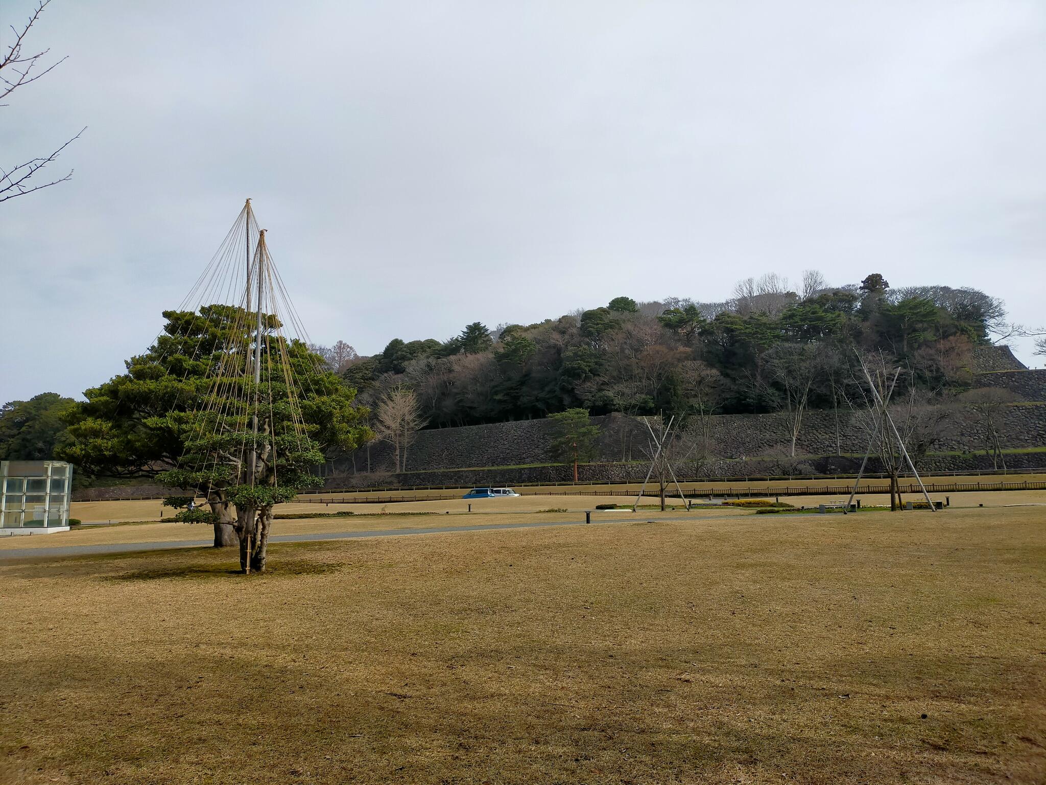 広坂緑地の代表写真8