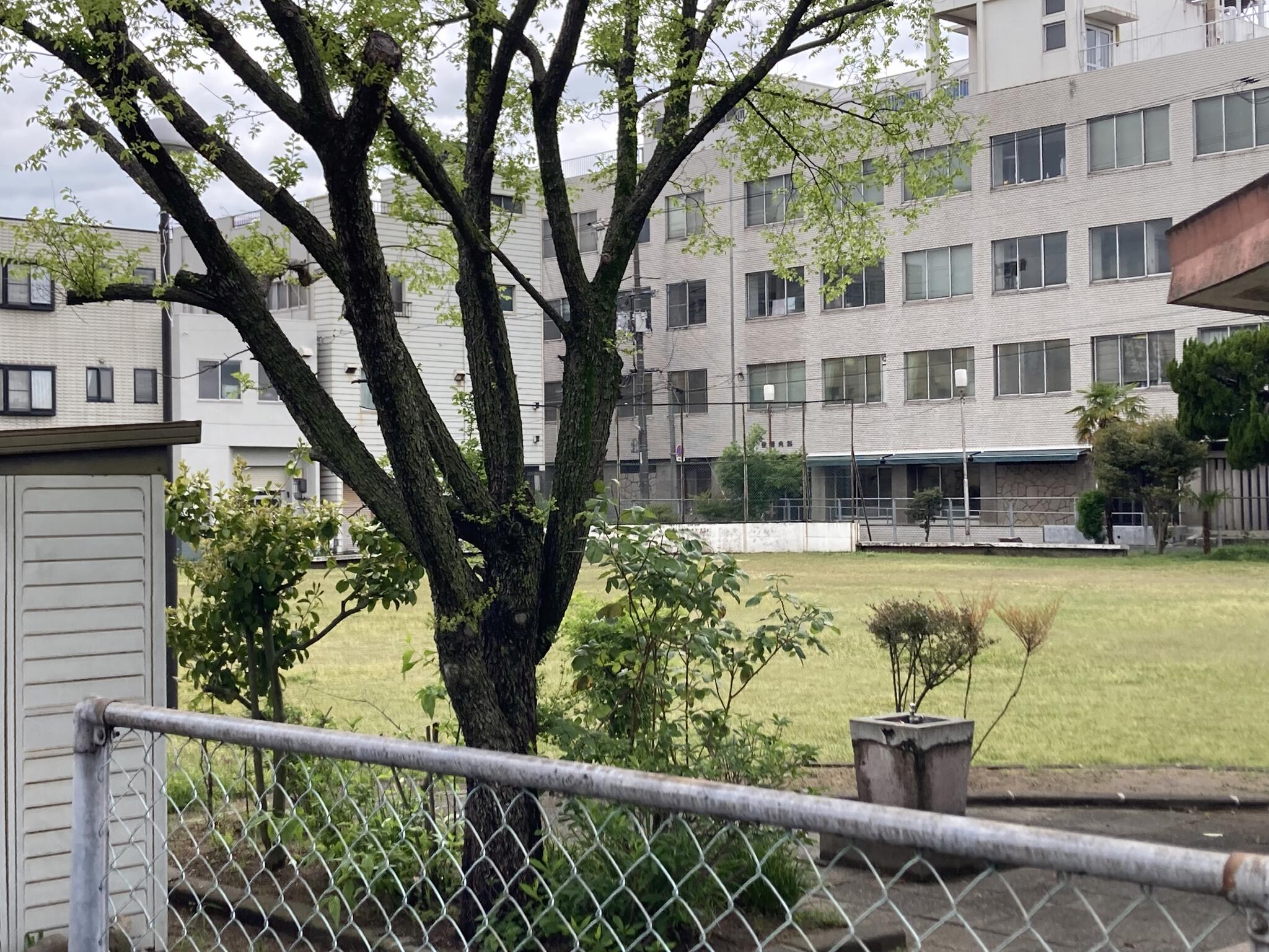 第二公園　水島 水島西常盤町第2公園 - 倉敷市水島西常盤町/公園 | Yahoo!マップ