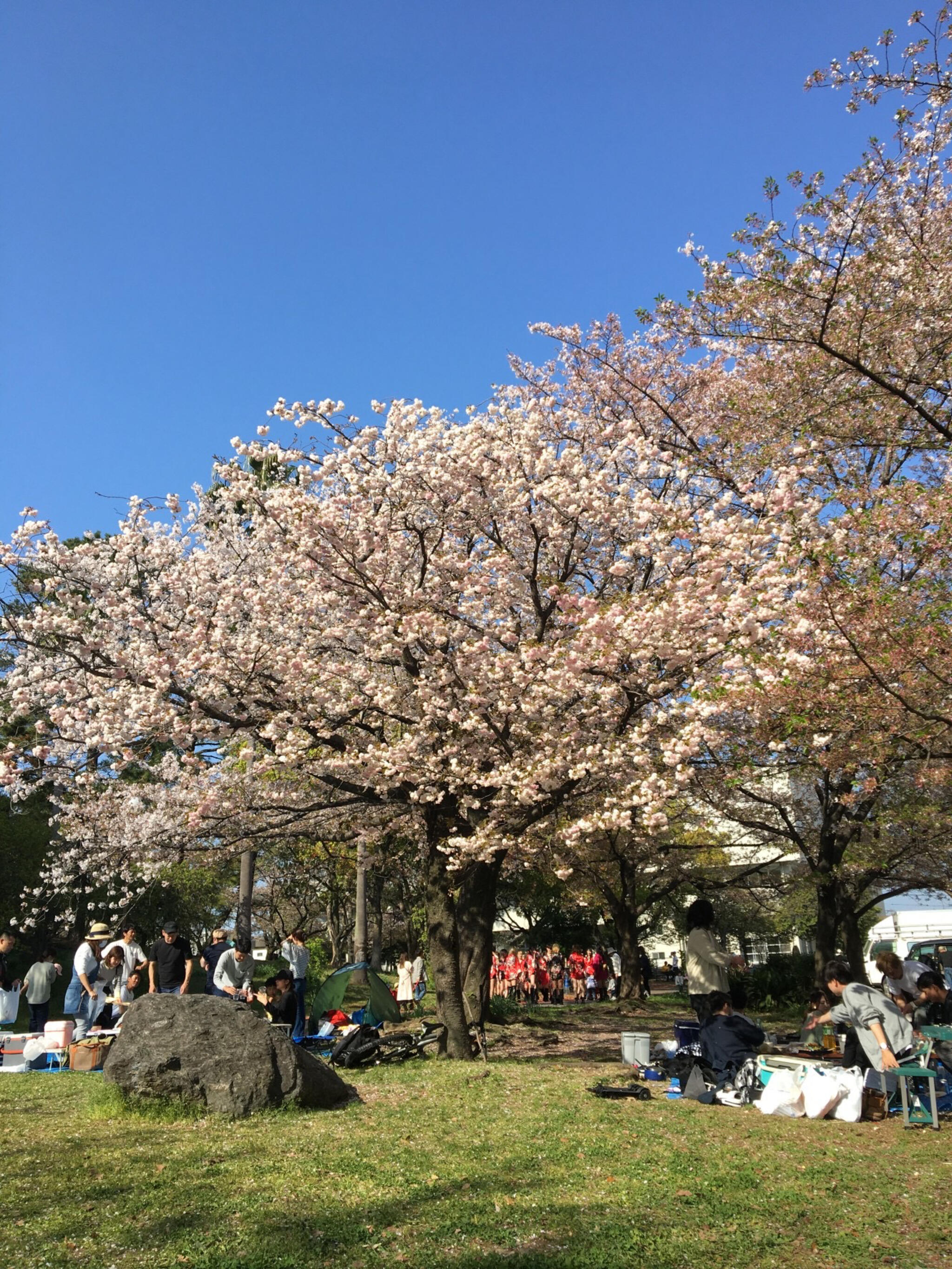 山王公園の代表写真9