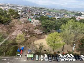 Auto Mirai 華蔵寺遊園地のクチコミ写真2