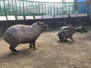 和歌山城公園動物園のクチコミ写真1