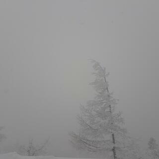 雲上の宿 横手山頂ヒュッテの写真25