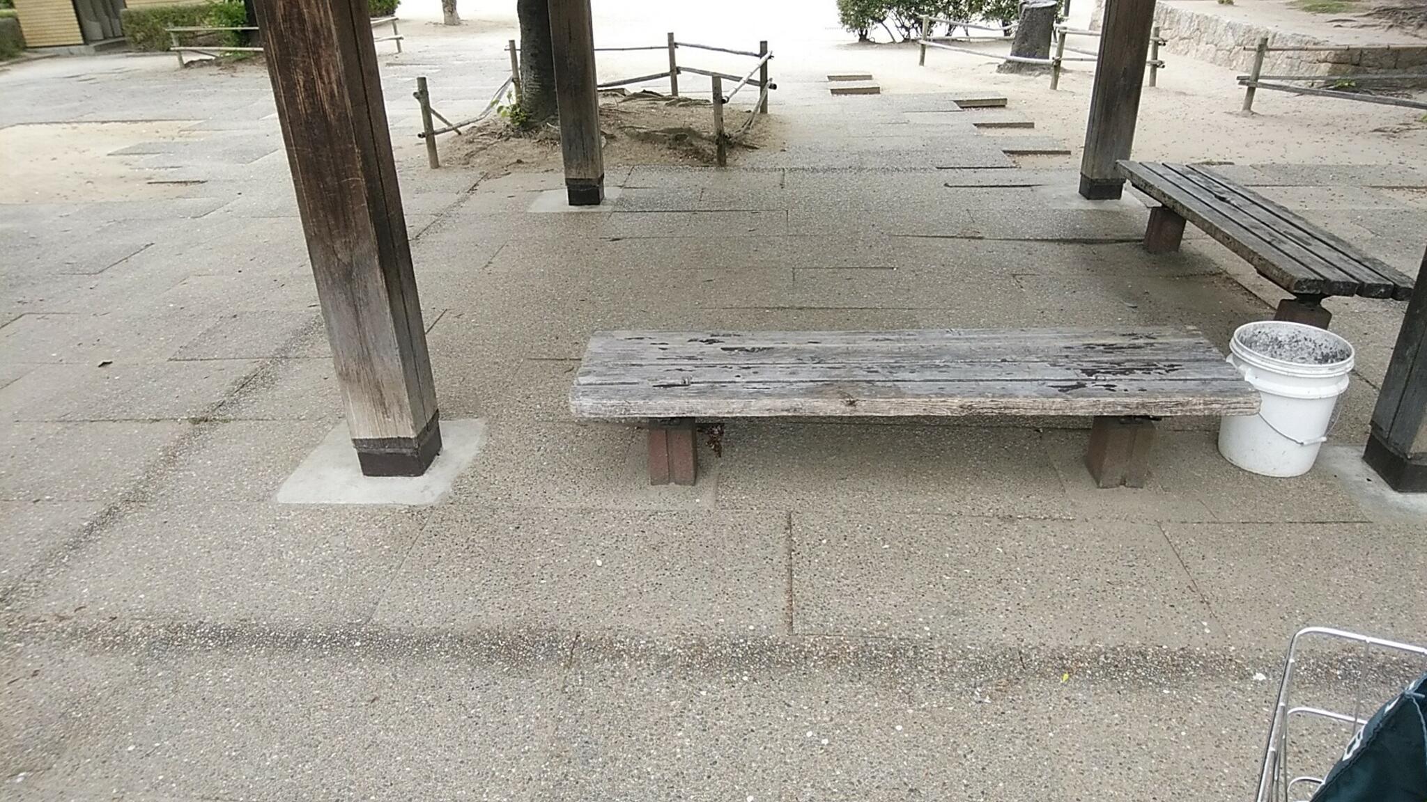 若松公園の代表写真2