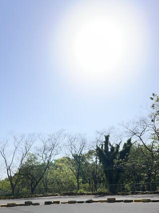 山梨県立愛宕山こどもの国のクチコミ写真1