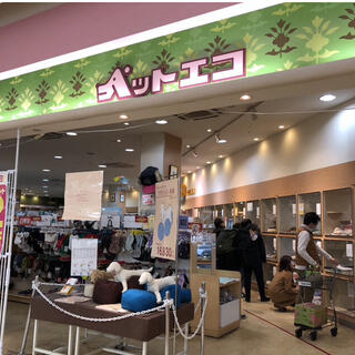 アサヒペット mark isみなとみらい店 神奈川県横浜市 コレクション