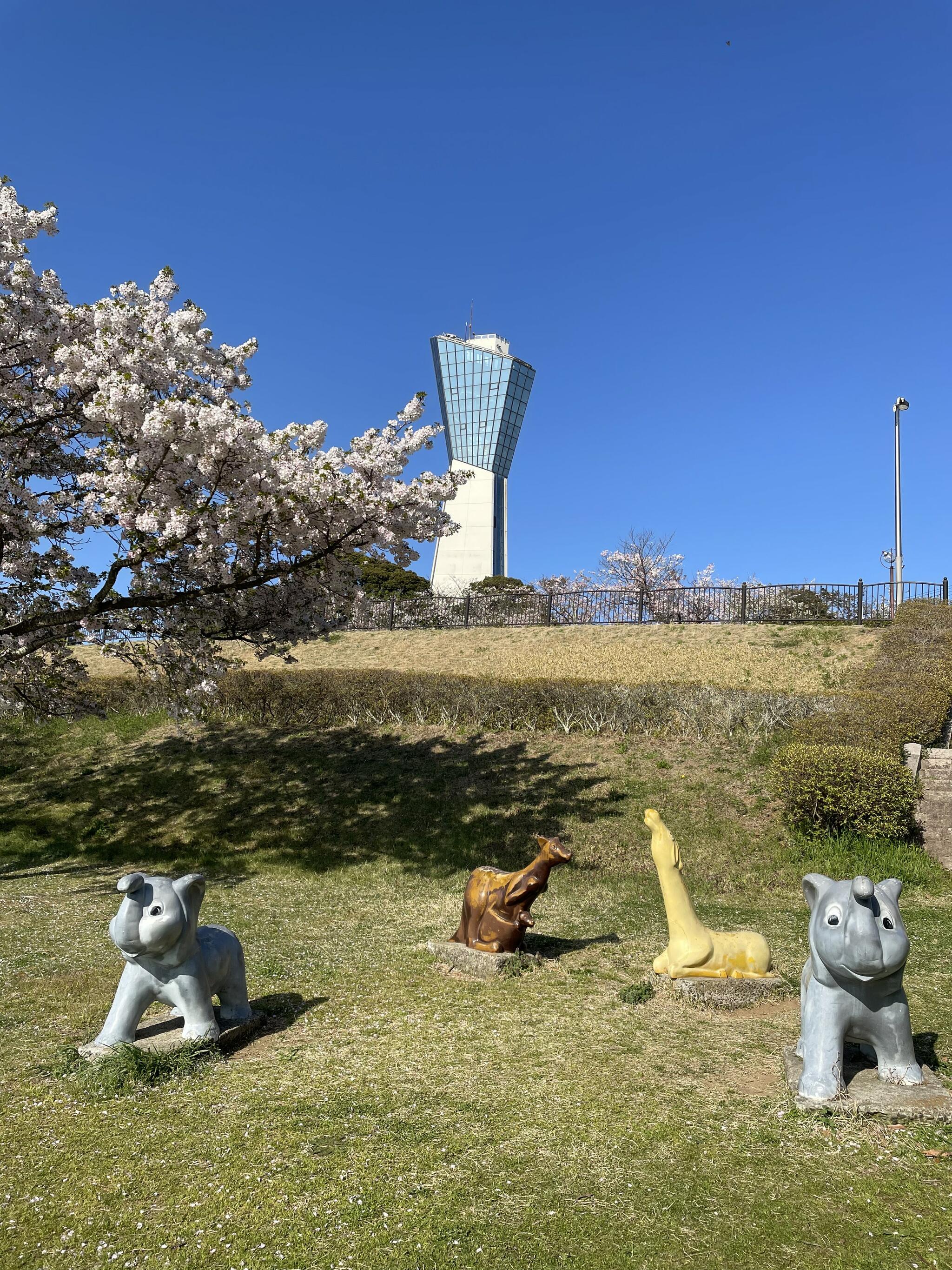 三崎公園 いわきマリンタワーの代表写真10