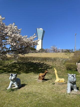 三崎公園 いわきマリンタワーのクチコミ写真1