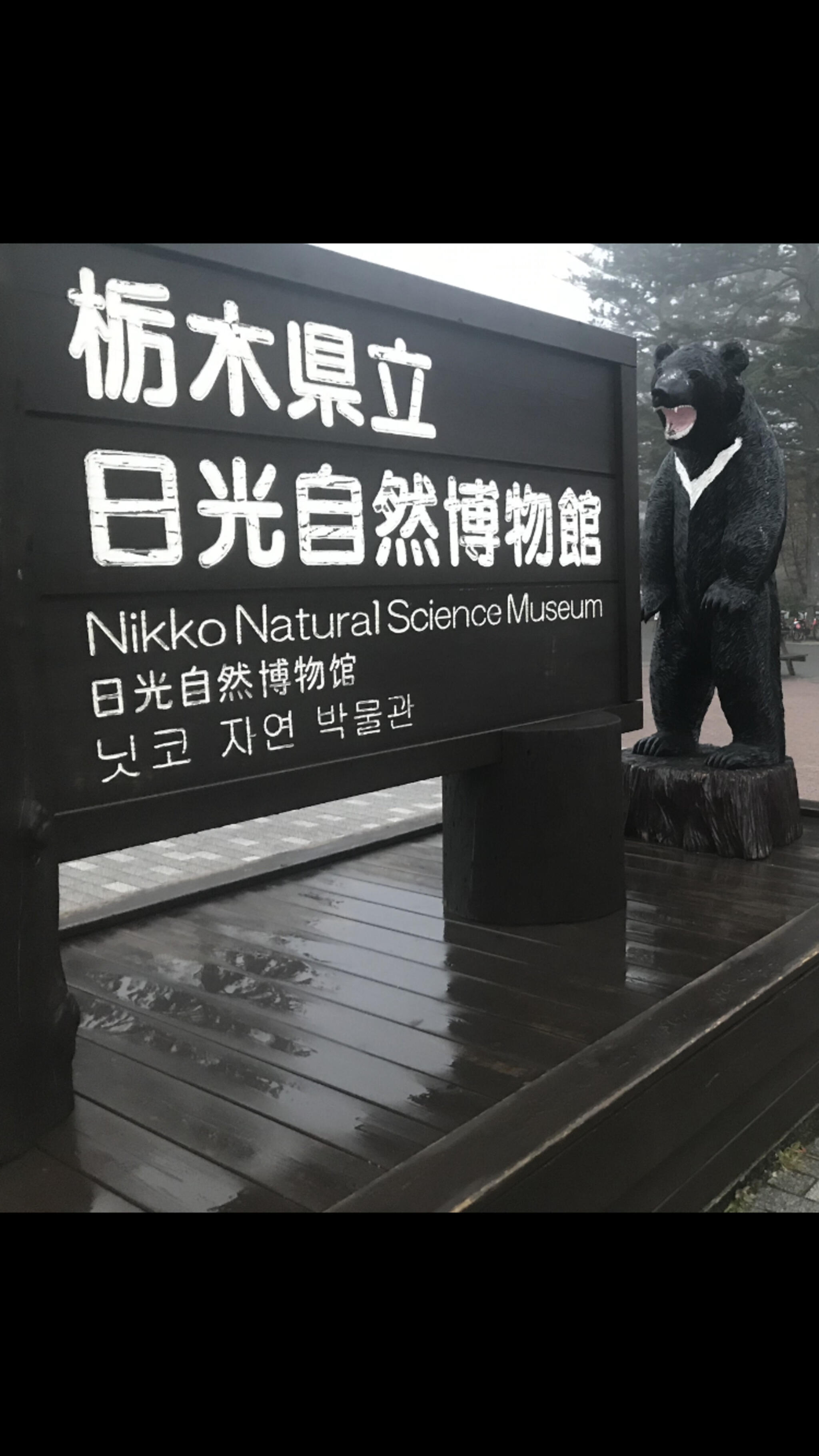 栃木県立日光自然博物館の代表写真1