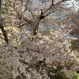 農試公園の写真26