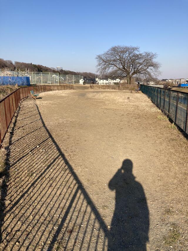 写真 小比企まちの広場 八王子市小比企町/公園 Yahoo!マップ