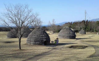 鹿児島県上野原縄文の森のクチコミ写真2