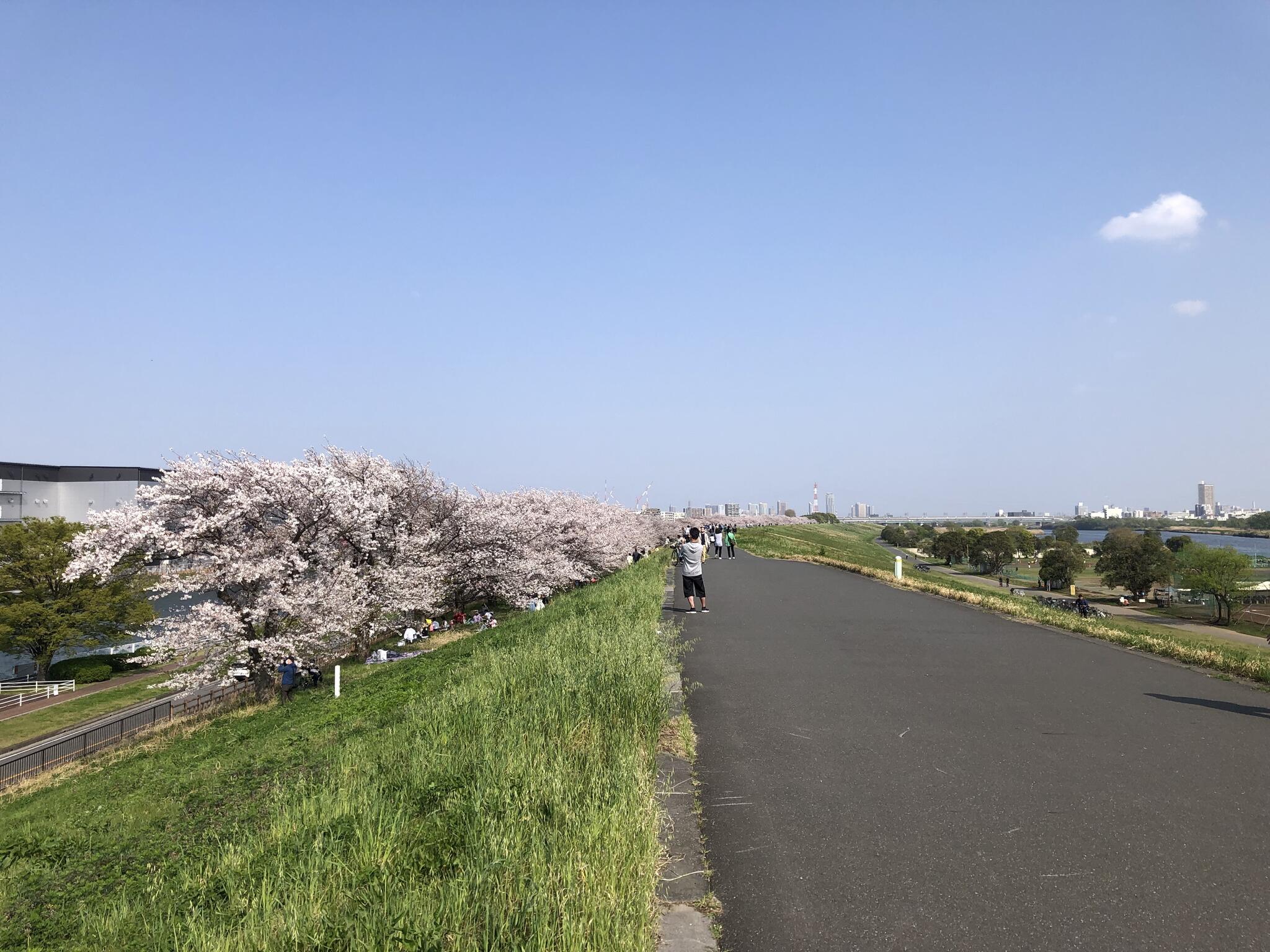 川口市荒川運動公園 川口市荒川町/スポーツ施設 Yahoo!マップ