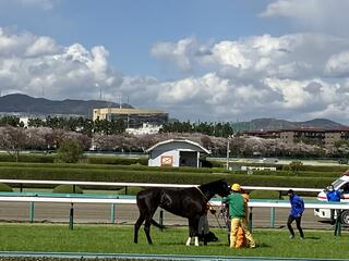 JRA 阪神競馬場のクチコミ写真2