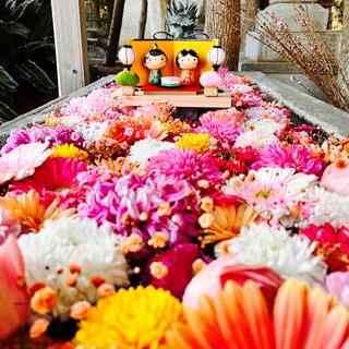 宇佐八幡神社の写真8