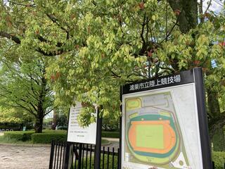 鴻巣市立陸上競技場のクチコミ写真1