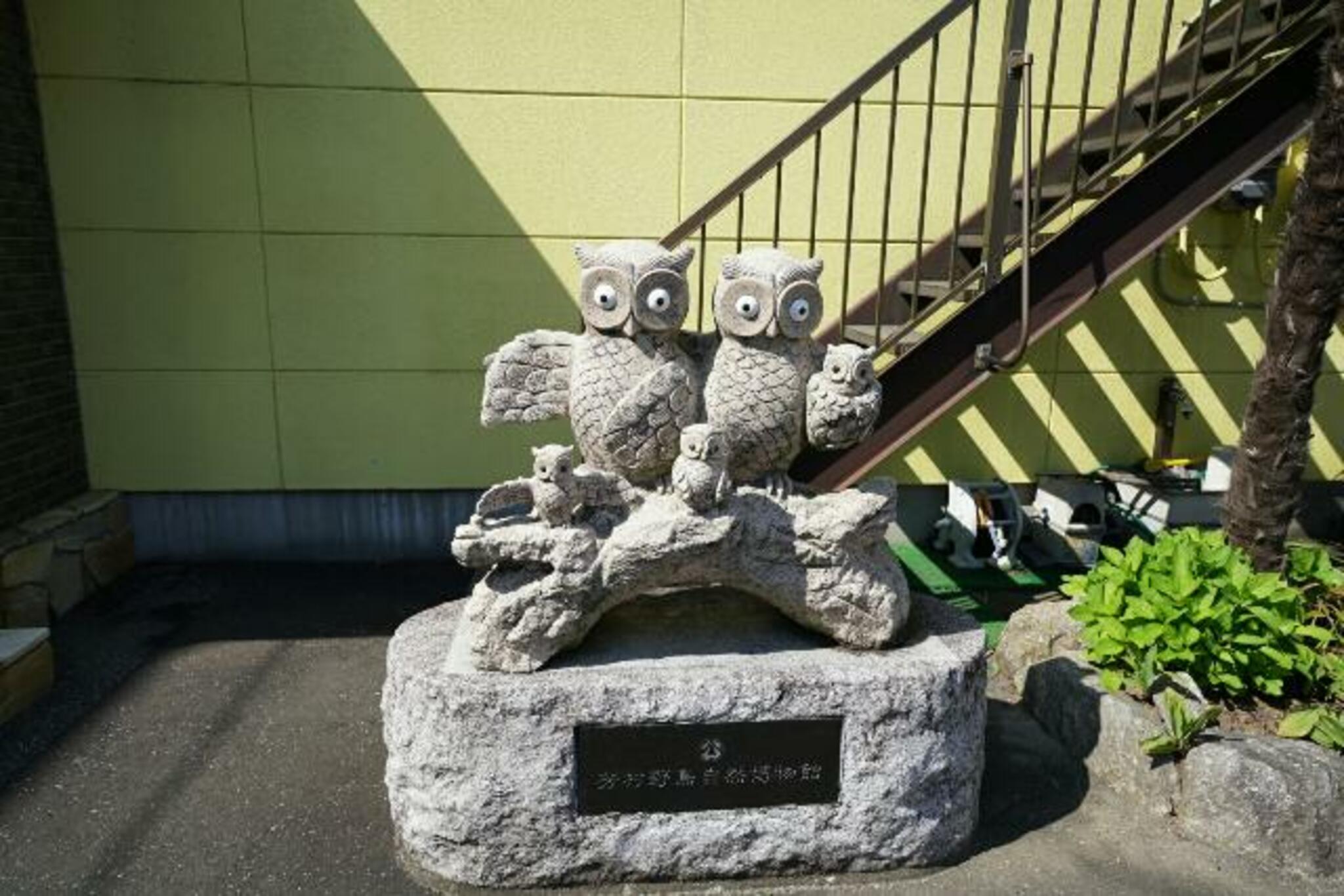 一般社団法人芳村野鳥自然博物館の代表写真2