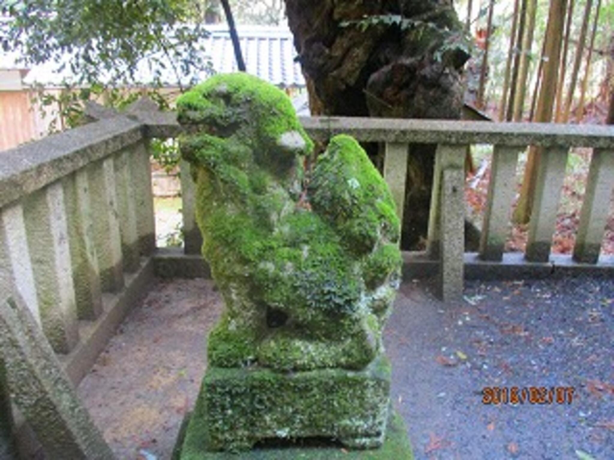 久須夜神社の代表写真3