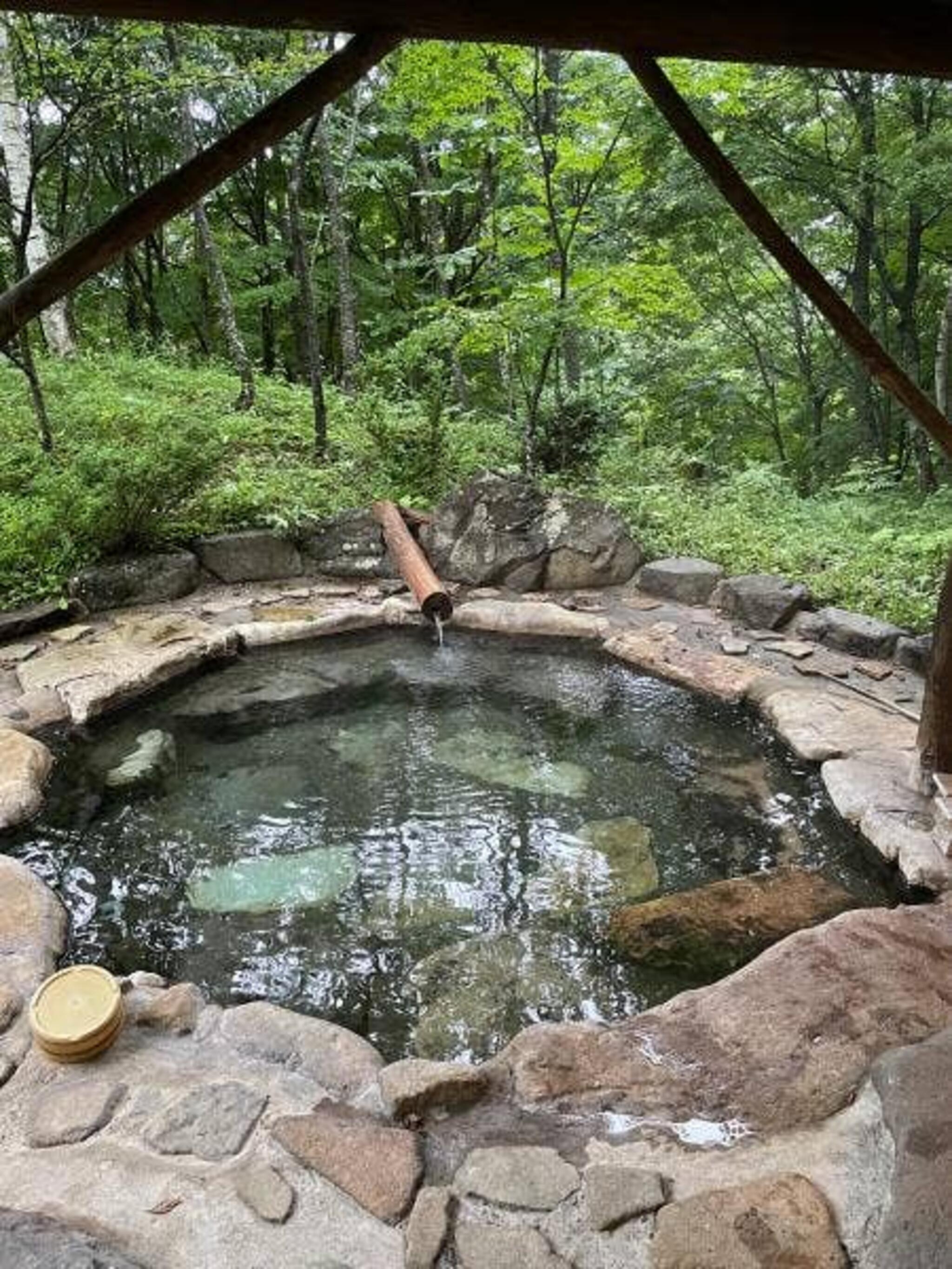 野の花山荘の代表写真6