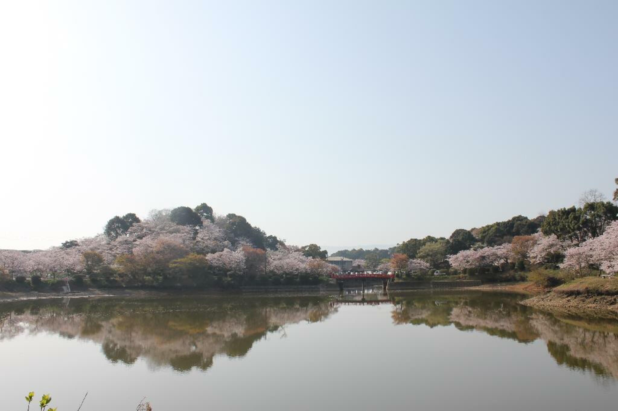 甘木公園の代表写真7