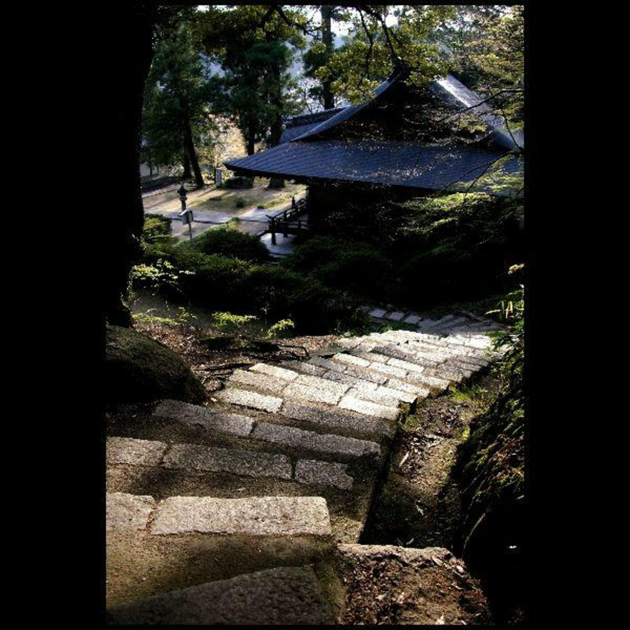 弘川寺の代表写真9