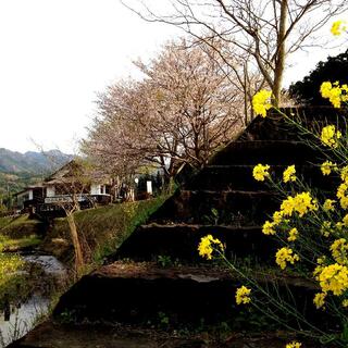 臼杵城跡の写真8